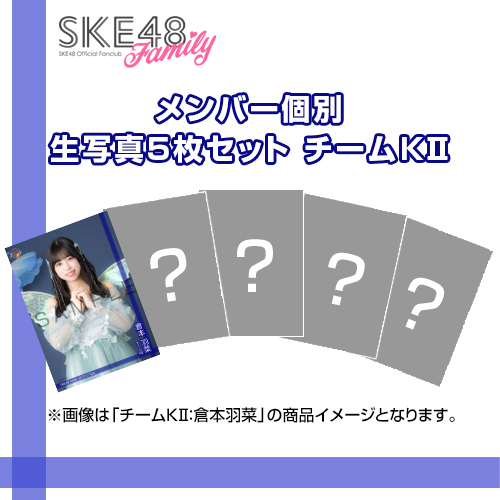 【SKE48 Family会員限定】Vol.13 C-Type メンバー個別生写真セット チームKII