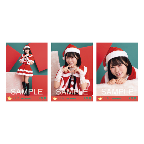 生写真セット（サンタ2024衣装）
