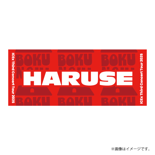 商品詳細ページ | ONLINE SHOP スタダ便 | [ICEx]BOKUNCHI Towel