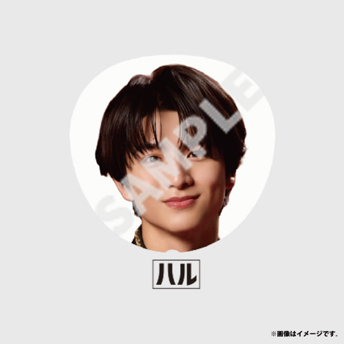 商品詳細ページ | ONLINE SHOP スタダ便 会場受取 | 【会場受取】HOTEL