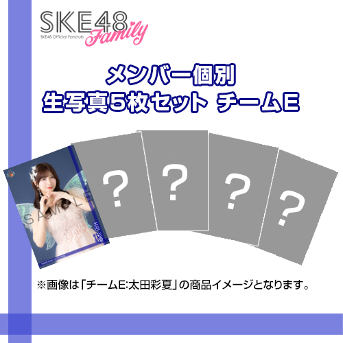 【SKE48 Family会員限定】Vol.13 C-Type メンバー個別生写真セット チームE
