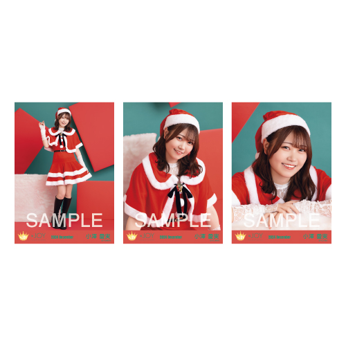 生写真セット（サンタ2024衣装）