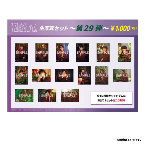 商品詳細ページ | ONLINE SHOP スタダ便 | [原因は自分にある。]生写真