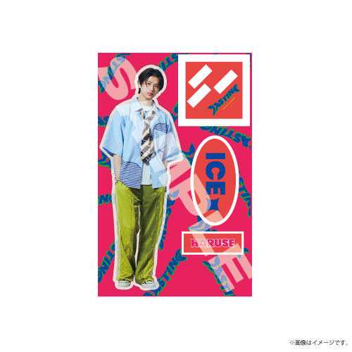 商品詳細ページ | ONLINE SHOP スタダ便 会場受取 | 【会場受取