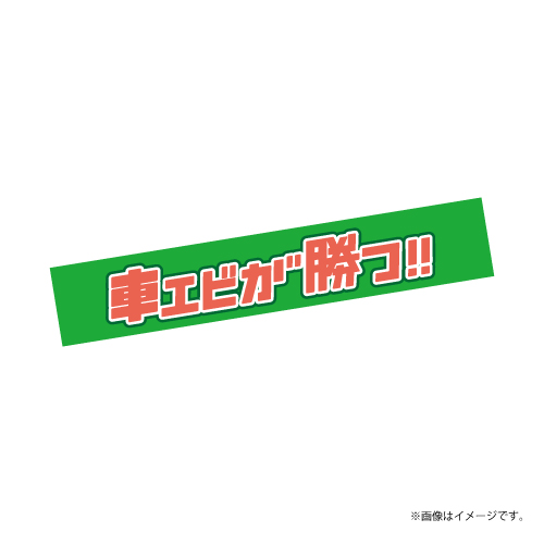 【会場受取】スポーツマンヒップ！チームタオル (緑：車エビ)