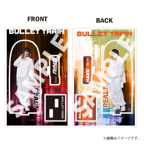 商品詳細ページ | ONLINE SHOP スタダ便 | [超特急]REAL？Double Sided