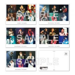 30th Anniversary チャリティーポストカードセット