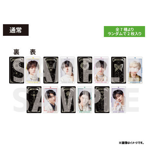 商品詳細ページ | ONLINE SHOP スタダ便 会場受取 | [原因は自分にある