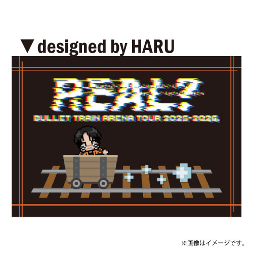 【会場受取】REAL？ブランケット