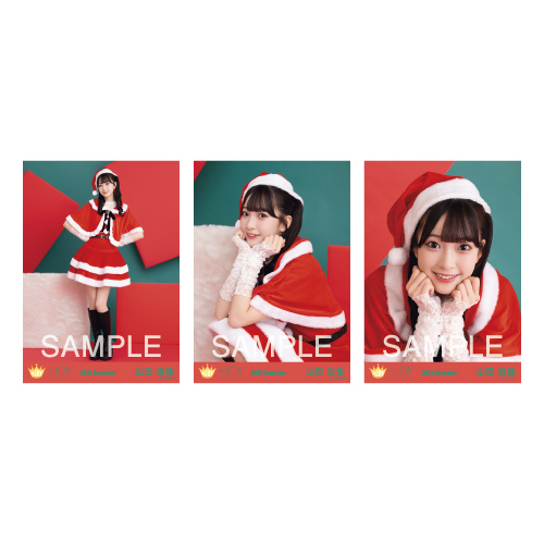 生写真セット（サンタ2024衣装）