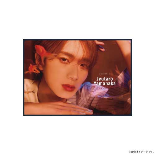 山中柔太朗 M!LK 2025.4-2026.3 カレンダー 通常版 サイン入り 商品詳細ページ | ONLINE SHOP スタダ便 | [M!LK] 山中柔太朗