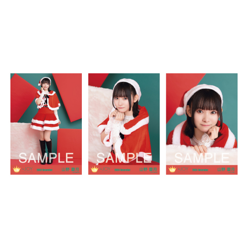生写真セット（サンタ2024衣装）