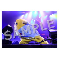 ライブ写真 名古屋 Aセット