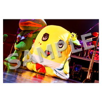 ライブ写真 名古屋 Aセット