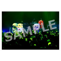 ライブ写真 名古屋 Aセット