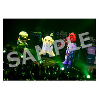 ライブ写真 名古屋 Aセット