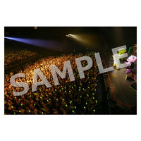 ライブ写真 名古屋 Aセット