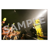 ライブ写真 大阪 Aセット