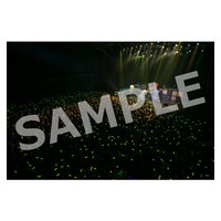 ライブ写真 大阪 Aセット