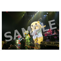 ライブ写真 大阪 Aセット