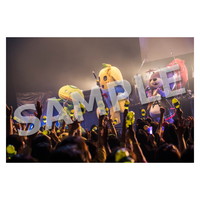 ライブ写真 札幌 Cセット