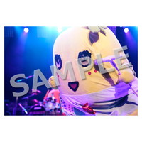 ライブ写真 東京 Aセット