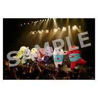 ライブ写真 東京 Aセット