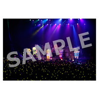 ライブ写真 東京 Aセット