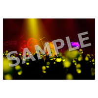 ライブ写真 東京 Bセット