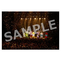 ライブ写真 東京 Bセット