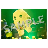 ライブ写真 東京 Cセット