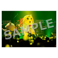 ライブ写真 東京 Cセット