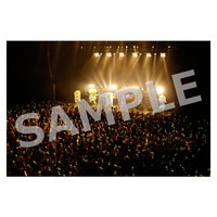 ライブ写真 東京 Cセット