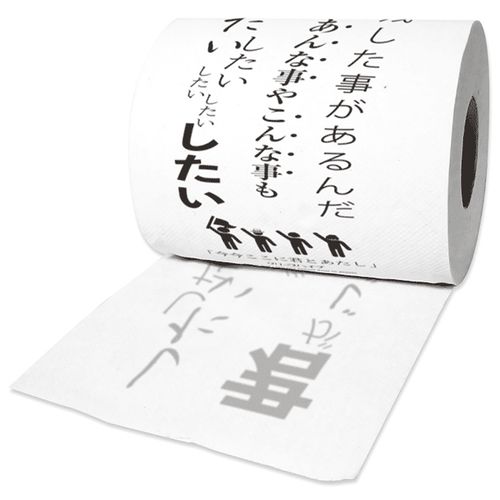ケツを拭いて下さい!水に流して下さい!今今ここに君とあたしトイレットペーパー