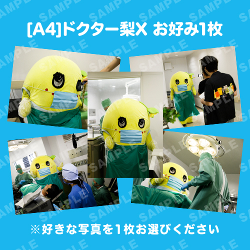 [A4] ドクター梨X お好み1枚