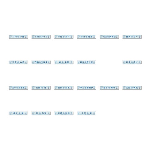 STU48 個別マフラータオル(STU48号)