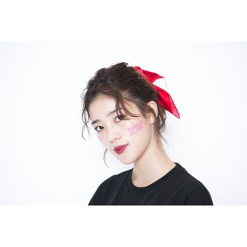 PDロゴ タトゥーシール 4種セット