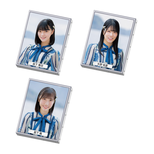 STU48 壁写キャンバスボード