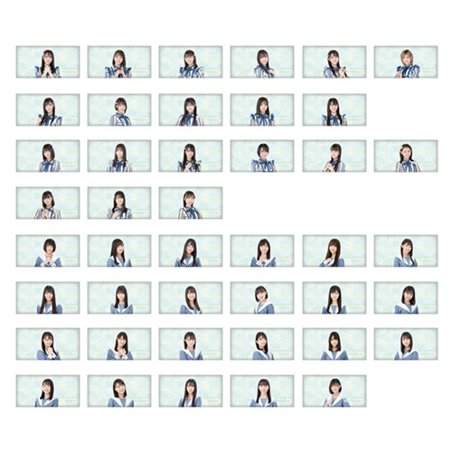 STU48 個別アームクッション