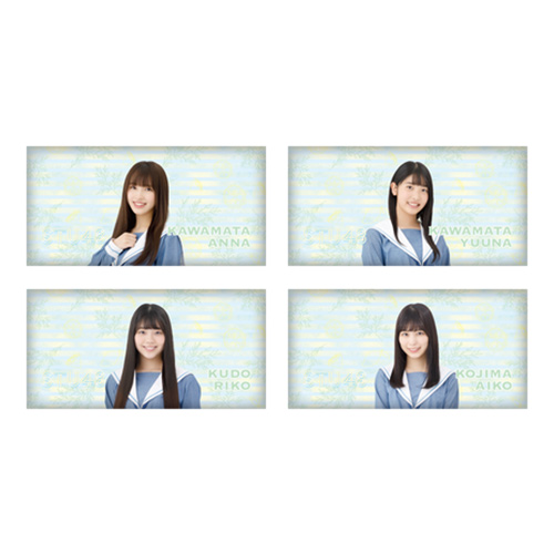 STU48 個別アームクッション