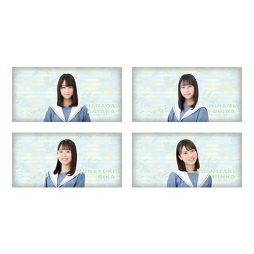 STU48 個別アームクッション