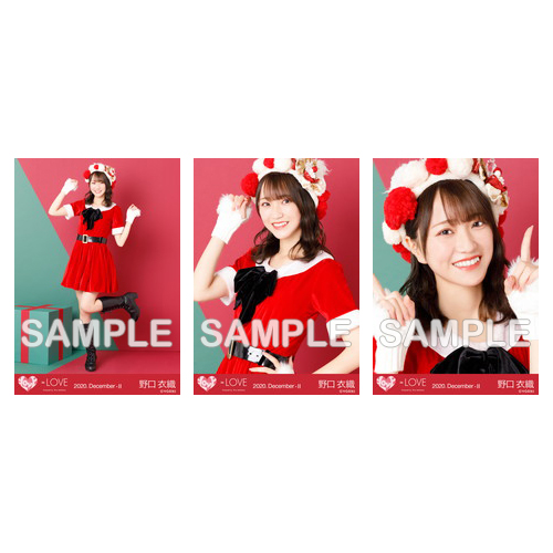 生写真セット(サンタ衣装)