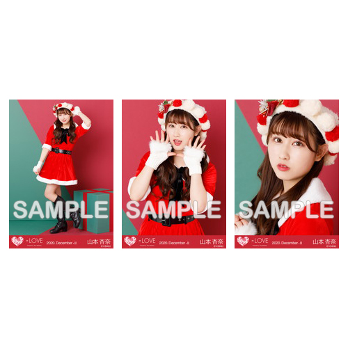 生写真セット(サンタ衣装)