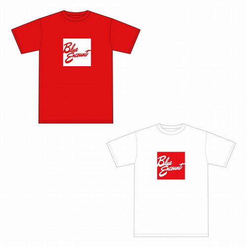 2018年夏フェス　BOX Logo Summer Tシャツ