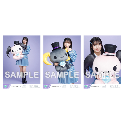 生写真セット(ルロロマニックコラボ)