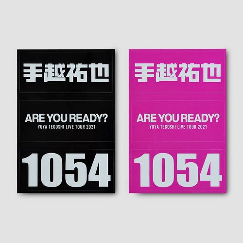 ステッカー 【ARE YOU READY?】