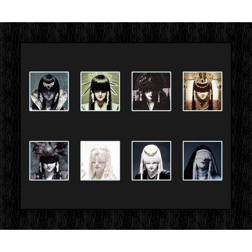 商品詳細ページ | 慈愚挫愚市場 -ZIGZAG MARKET- | 歴代 命様 透明版