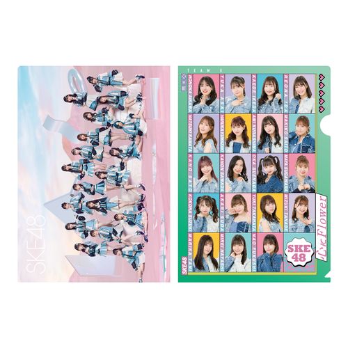 SKE48「心にFlower」クリアファイル　チームE