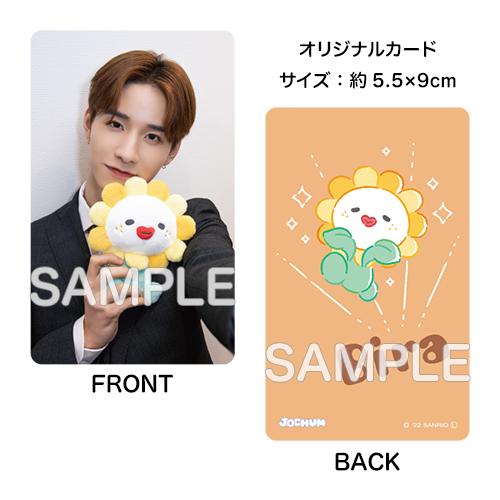 オリジナルカード付きぬいぐるみ Bira(佐藤 景瑚 考案)