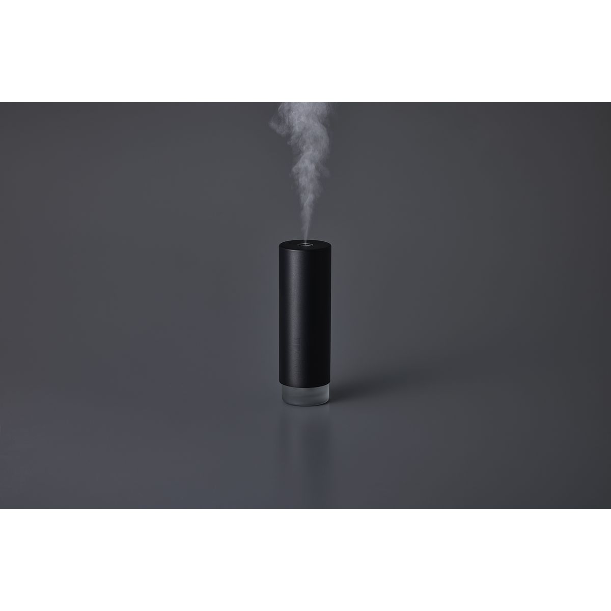 商品詳細ページ | sakanaction ONLINE STORE | 【一般販売】cado×NF